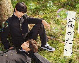 质量好的seo推广